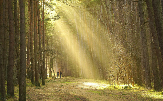 kfd-Dekanat St. Willibrord Westeifel Plauderspaziergang ©Nowaja – pixabay.com