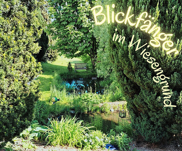 PR Bernkastel-Kues Gartenandacht 2024