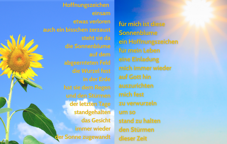 Foto mit Sonnenblume und Impulstext über die Hoffnung Foto mit Sonnenblume und Impulstext über die Hoffnung