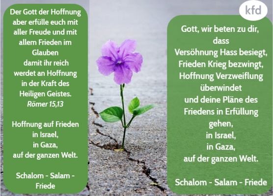 Foto mit Blume und einem Impulstext