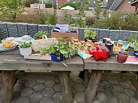 kfd St. Bonifatius Osnabrück Sommerfest